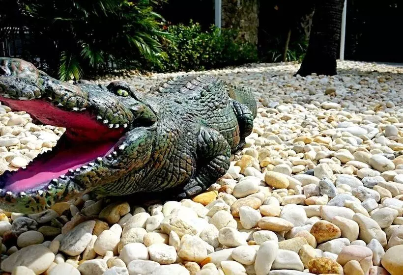 ホテル Dolphin Key Resort  Cape Coral