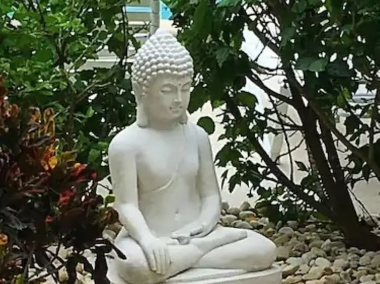 ホテル Dolphin Key Resort  Cape Coral