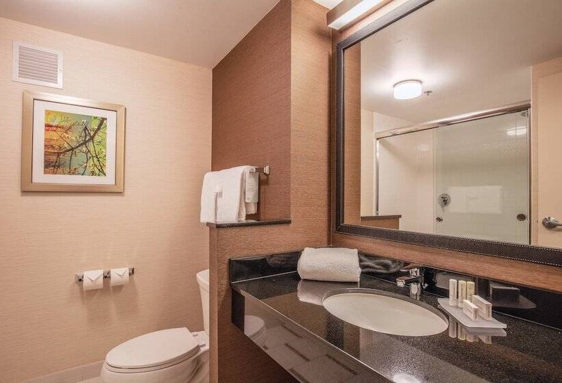 בית מלון כפרי Fairfield Inn And Suites Chicago Downtown River North