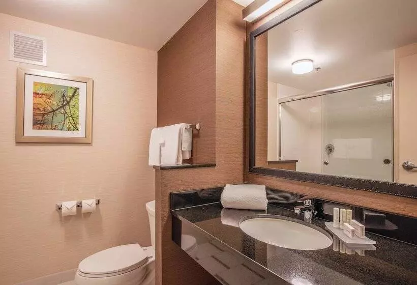 酒店 Fairfield Inn And Suites Chicago Downtown River North