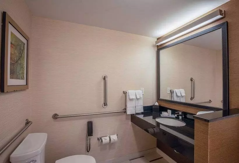 酒店 Fairfield Inn And Suites Chicago Downtown River North