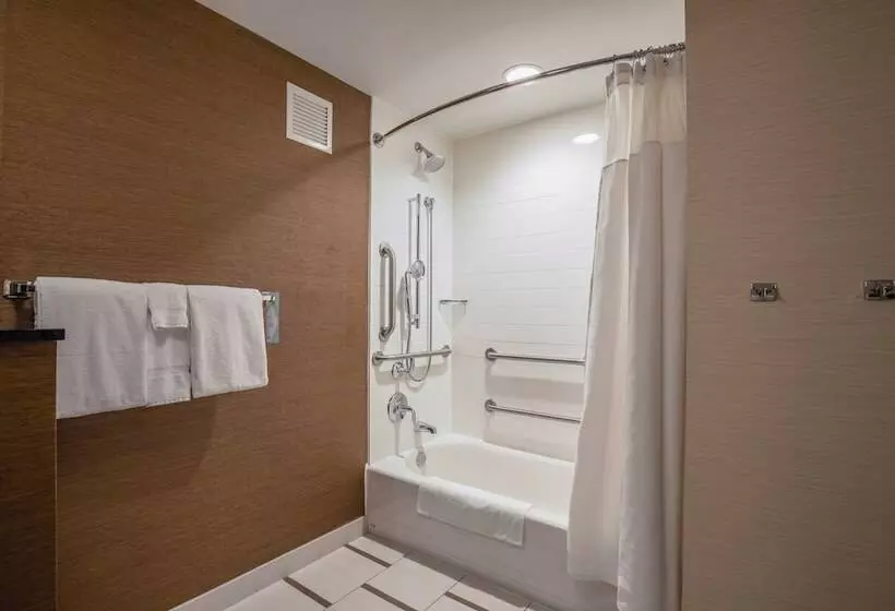 酒店 Fairfield Inn And Suites Chicago Downtown River North