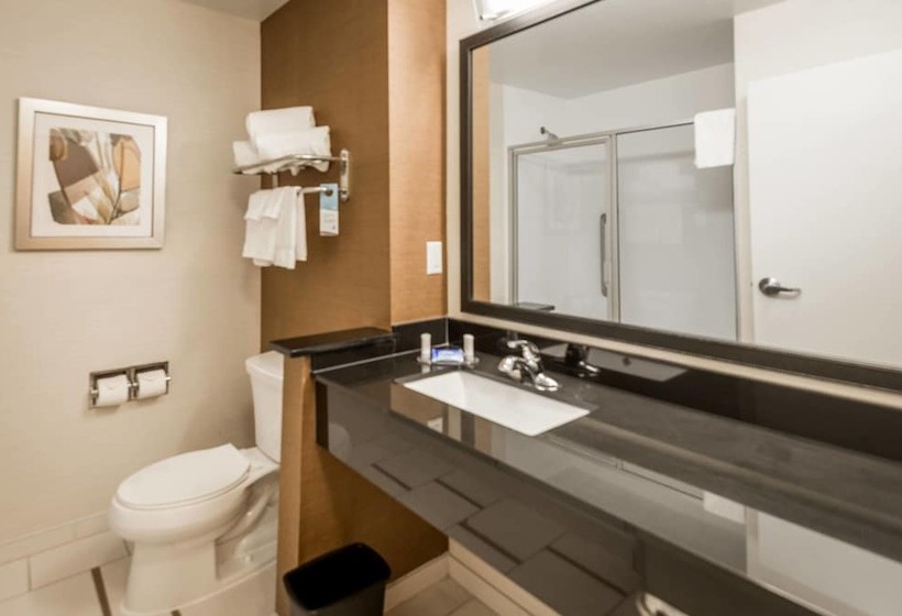 ホテル Fairfield Inn & Suites By Marriott Montgomery Airport
