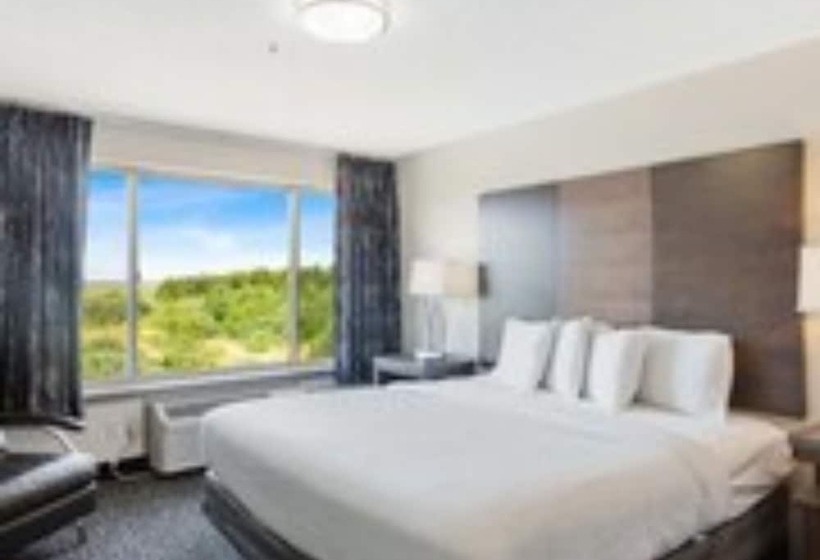 בית מלון כפרי Oceanview Inn At The Arch