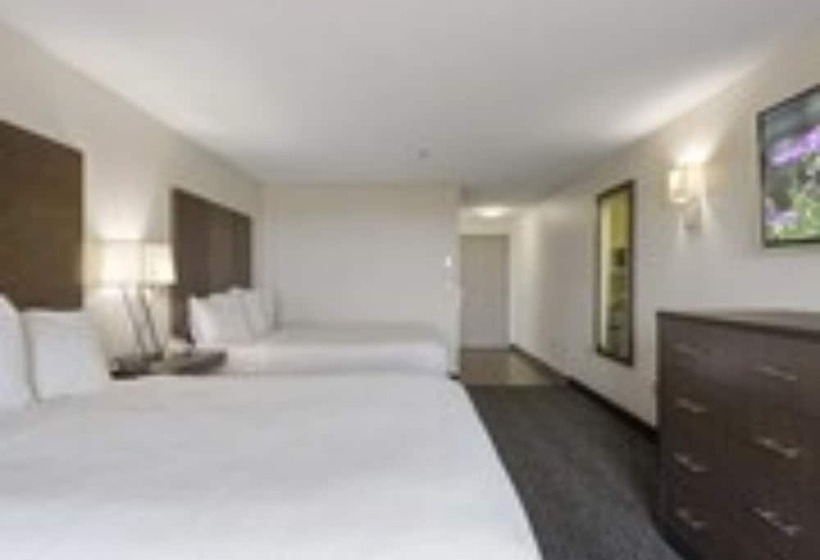 בית מלון כפרי Oceanview Inn At The Arch