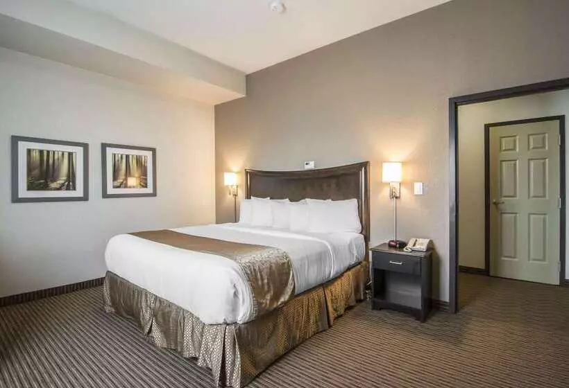 Отель Quality Inn & Suites Thompson
