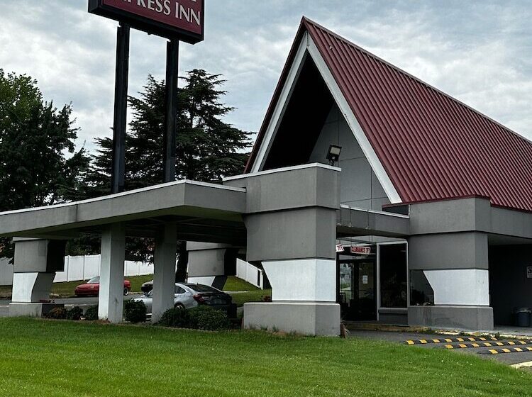 汽车旅馆  Loyalty Inn Charlotte Airport