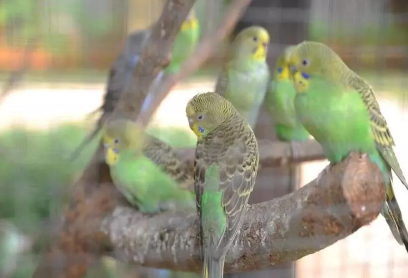 Eadry Royal Garden Hotel Haikou