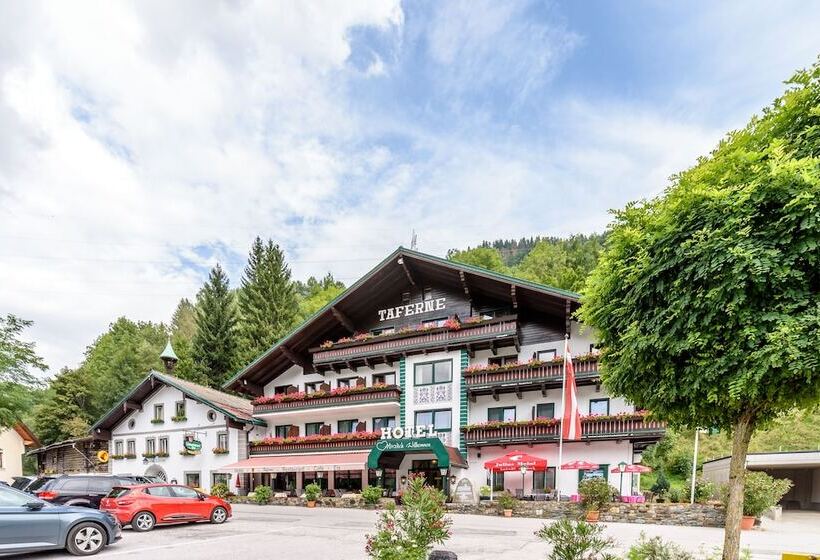 ホテル & Gasthof Taferne