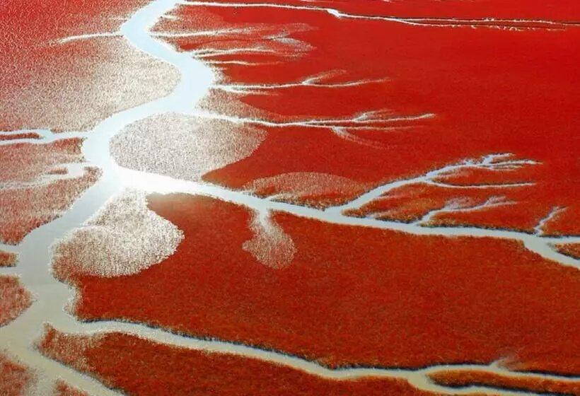 ホテル Holiday Inn Panjin Aqua City, An Ihg