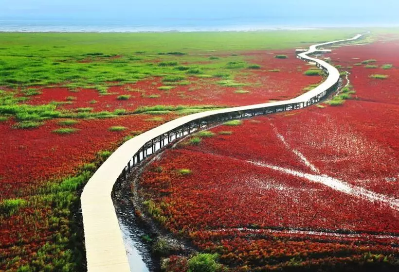 ホテル Holiday Inn Panjin Aqua City, An Ihg