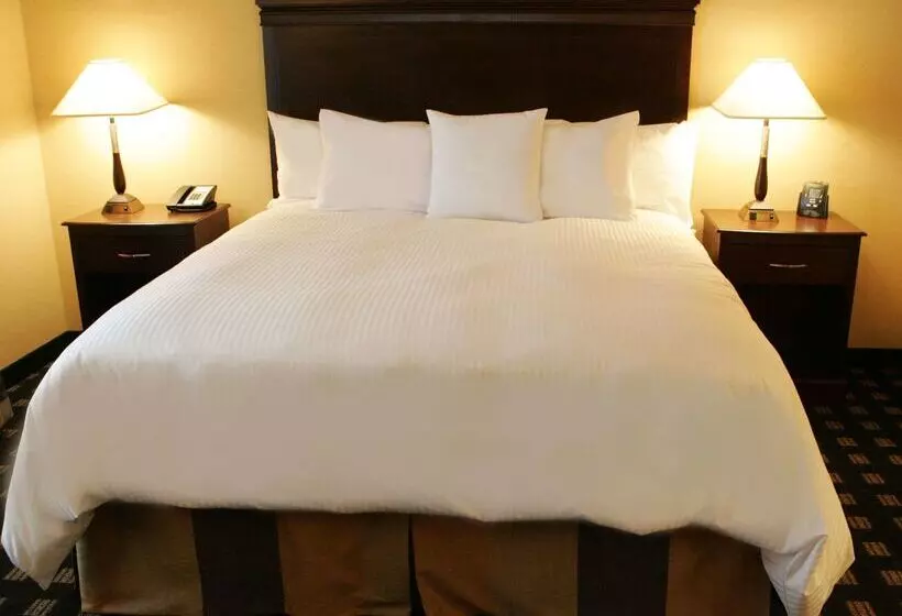 酒店 Homewood Suites By Hilton Toronto Airport Corporate Centre