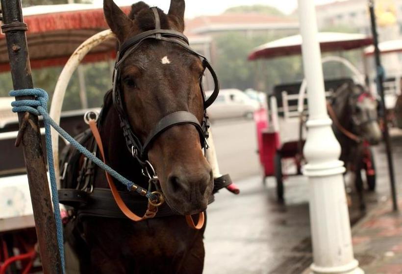 Hotel Indigo Tianjin Haihe, An Ihg