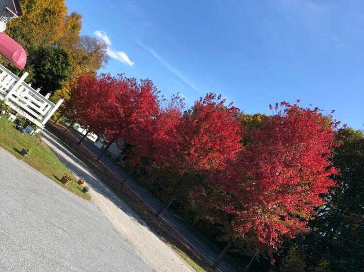 モーテル The Autumn Inn