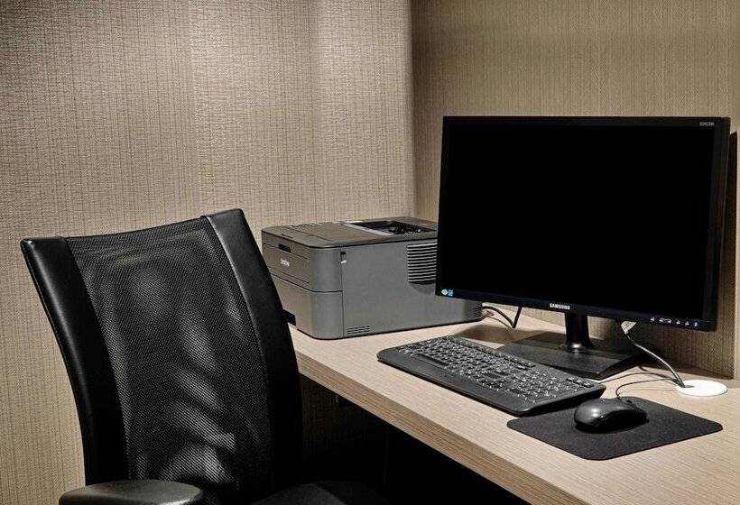 Springhill Suites By Marriott Detroit Metro Airport Romulus