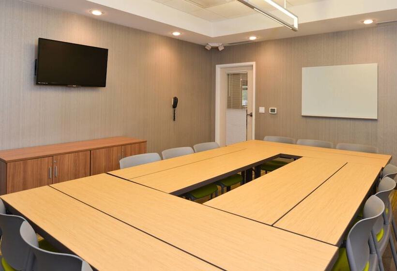 Springhill Suites By Marriott Detroit Metro Airport Romulus