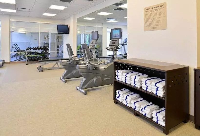 Springhill Suites By Marriott Detroit Metro Airport Romulus