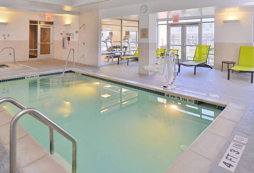 Springhill Suites By Marriott Detroit Metro Airport Romulus