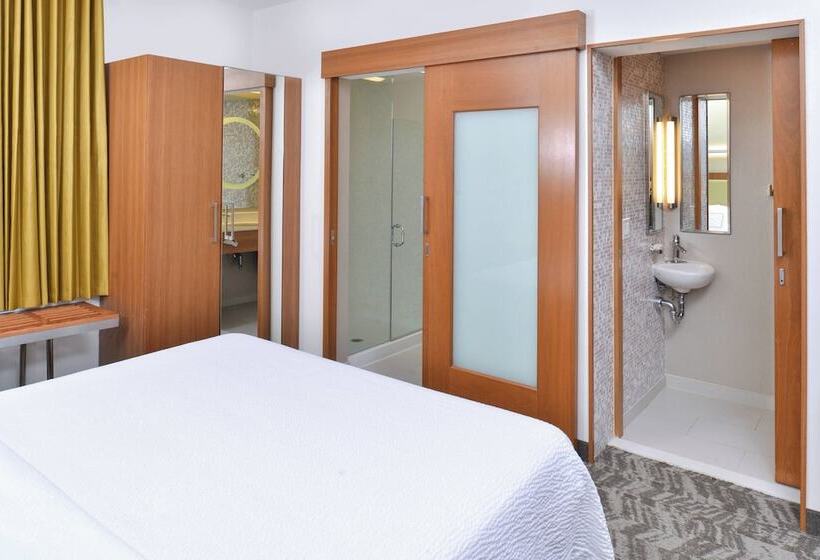 Springhill Suites By Marriott Detroit Metro Airport Romulus