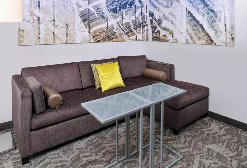 Springhill Suites By Marriott Detroit Metro Airport Romulus