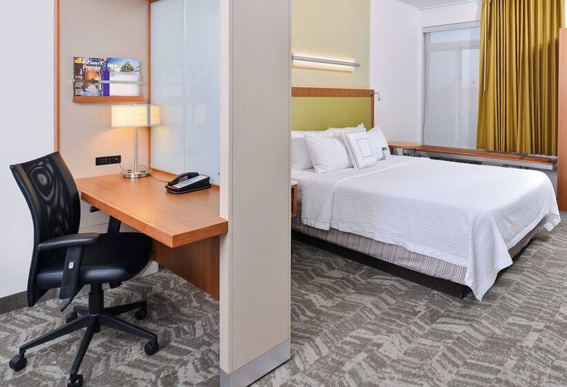 Springhill Suites By Marriott Detroit Metro Airport Romulus