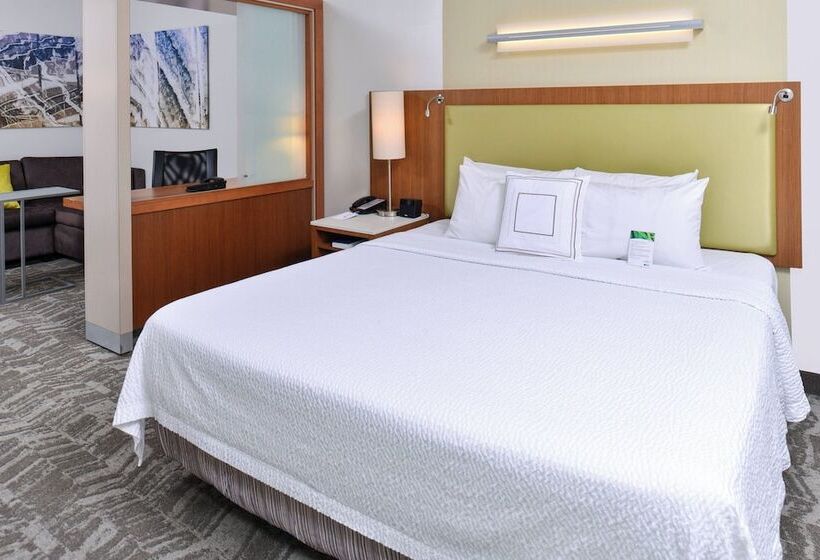 Springhill Suites By Marriott Detroit Metro Airport Romulus