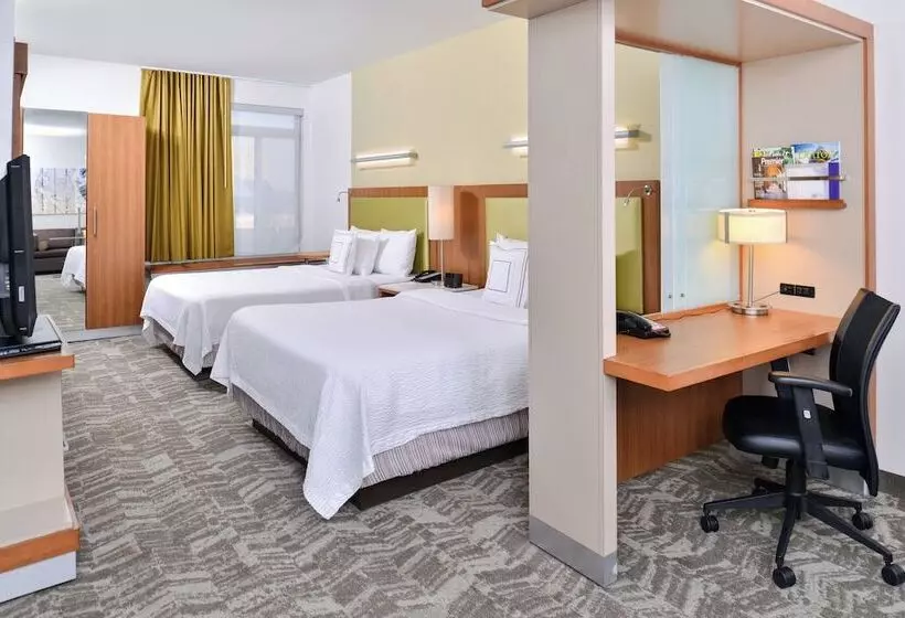 Springhill Suites By Marriott Detroit Metro Airport Romulus