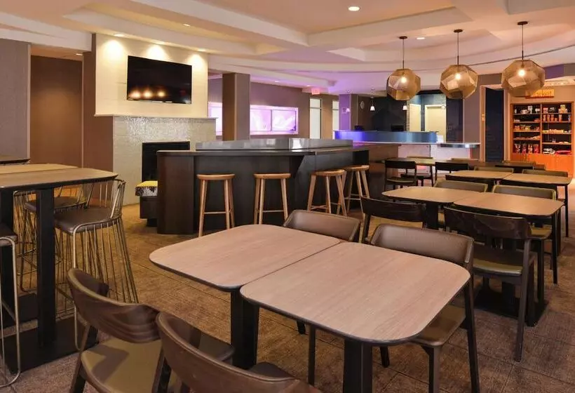 Springhill Suites By Marriott Detroit Metro Airport Romulus