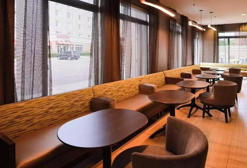 Springhill Suites By Marriott Detroit Metro Airport Romulus