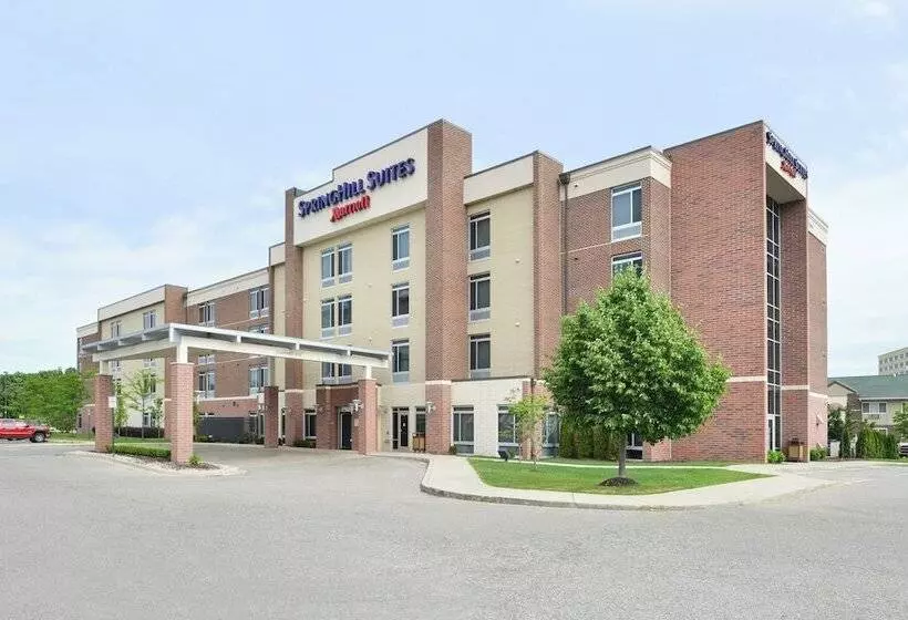 Springhill Suites By Marriott Detroit Metro Airport Romulus