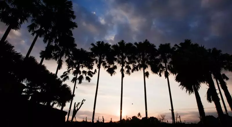 Danoya Private Luxury Residences