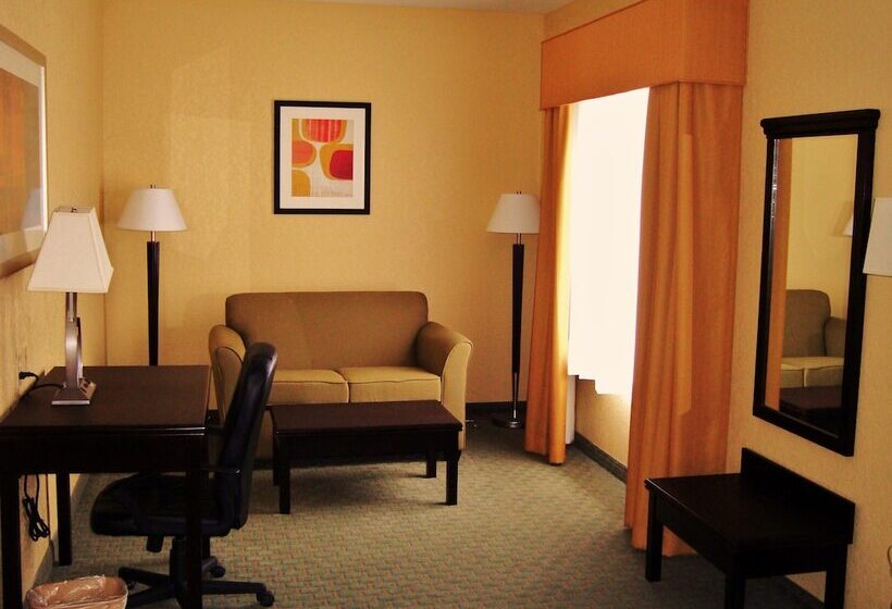 בית מלון כפרי Ambassador Inn & Suites