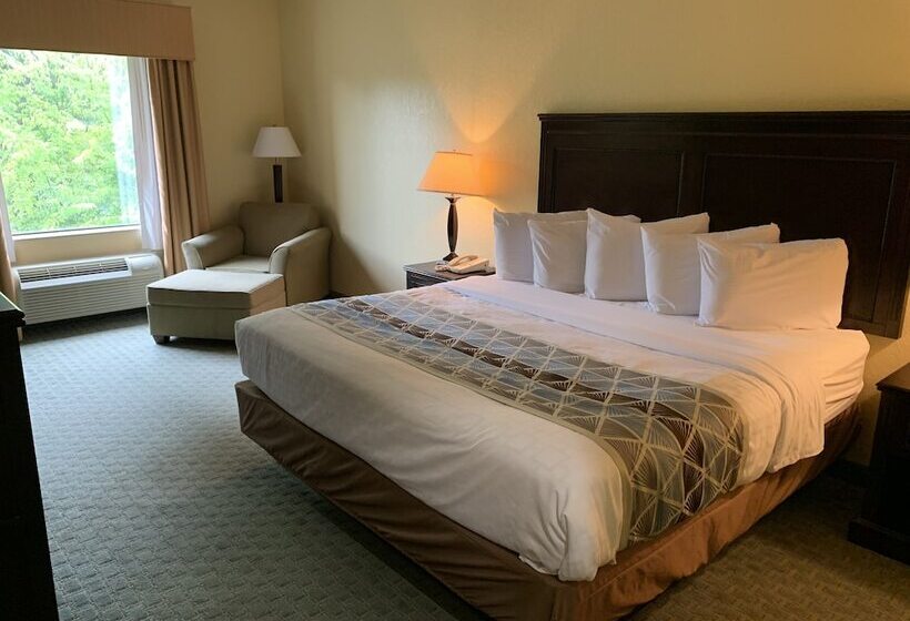 בית מלון כפרי Ambassador Inn & Suites