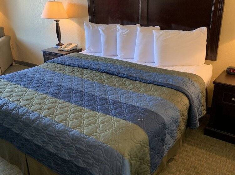 בית מלון כפרי Ambassador Inn & Suites