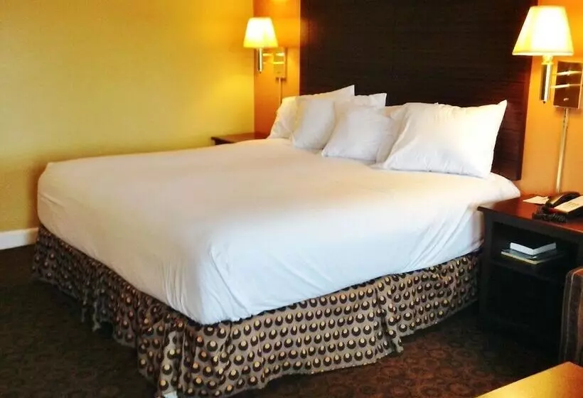 ホテル Americas Best Value Inn And Suites Greenwood