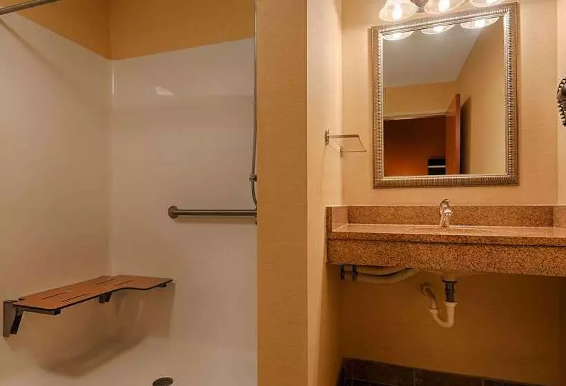 호텔 Best Western Plus Pontoon Beach