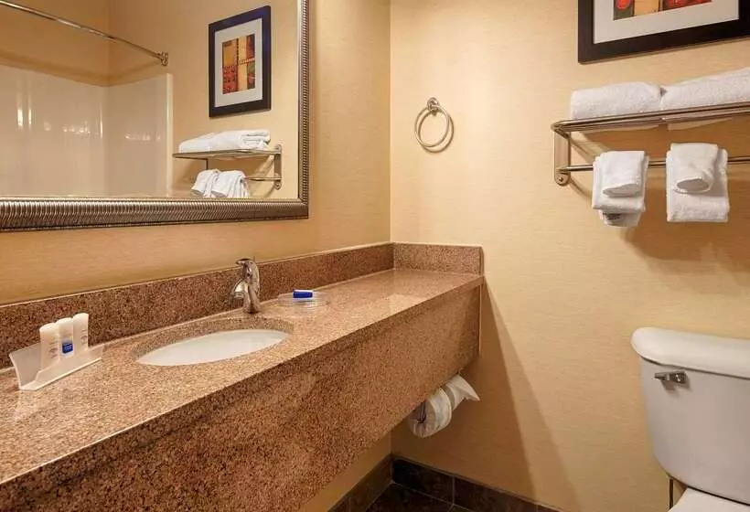 호텔 Best Western Plus Pontoon Beach