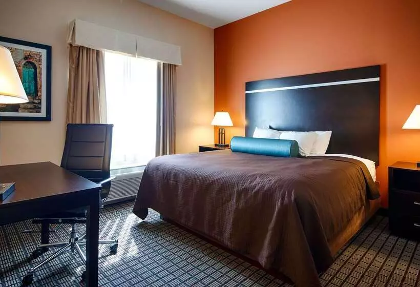 호텔 Best Western Plus Pontoon Beach