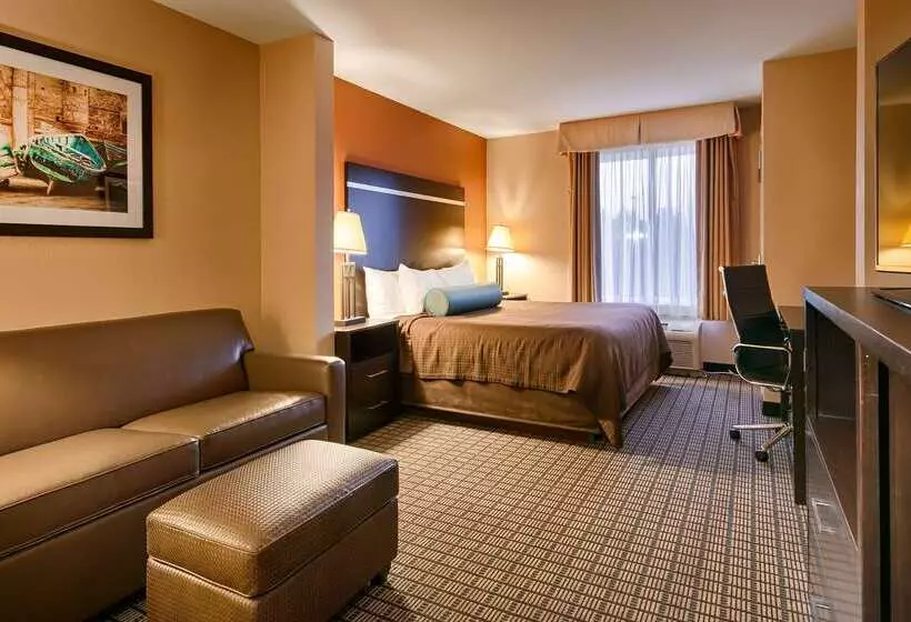 호텔 Best Western Plus Pontoon Beach