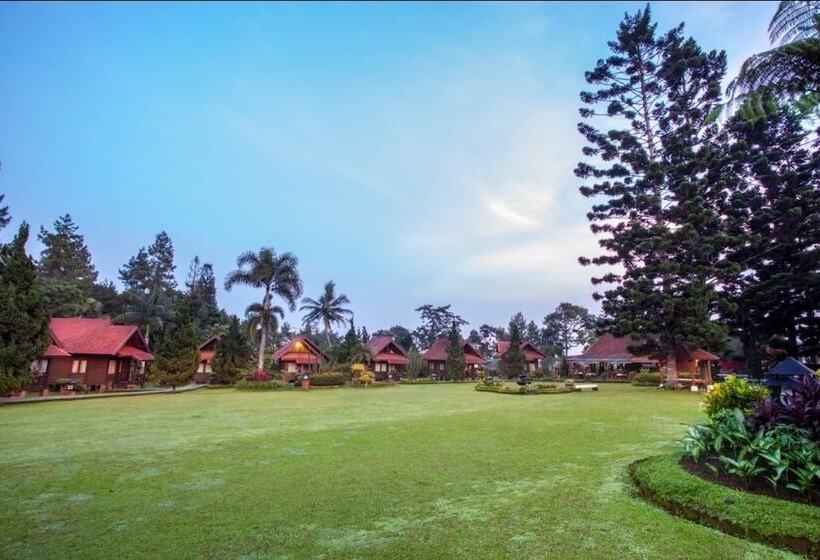 فندق Citra Cikopo