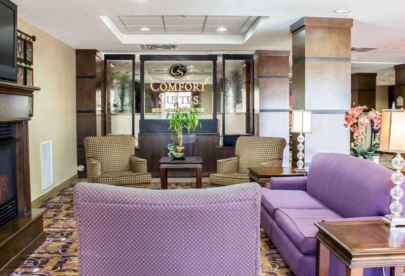 فندق Comfort Suites