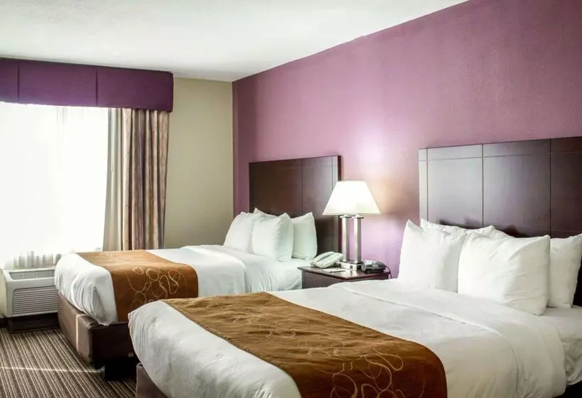 酒店 Comfort Suites