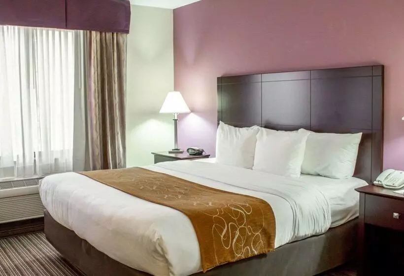 酒店 Comfort Suites