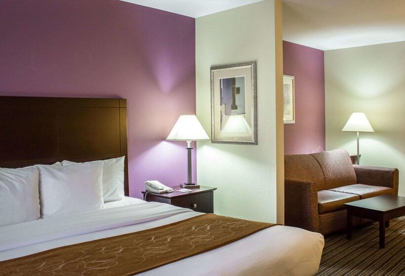 فندق Comfort Suites