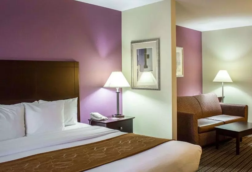 酒店 Comfort Suites