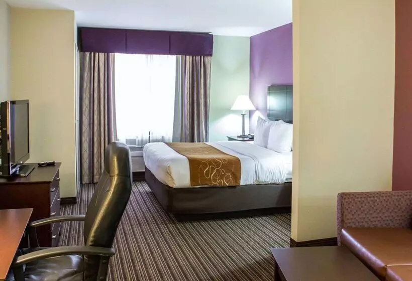 酒店 Comfort Suites