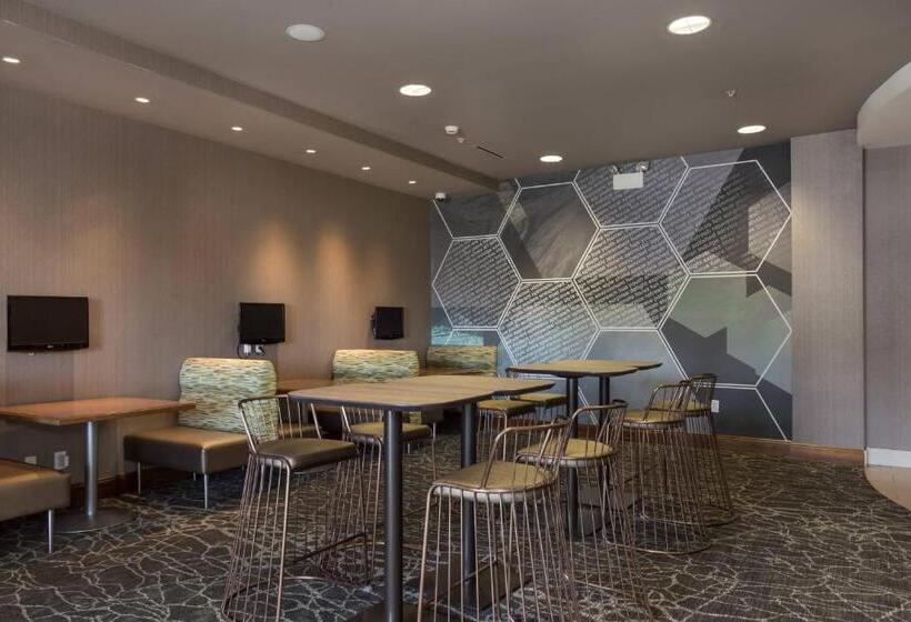 Springhill Suites By Marriott Charlotte Ballantyne