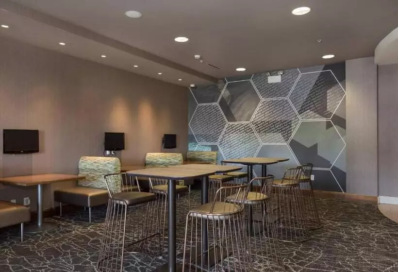 Springhill Suites By Marriott Charlotte Ballantyne