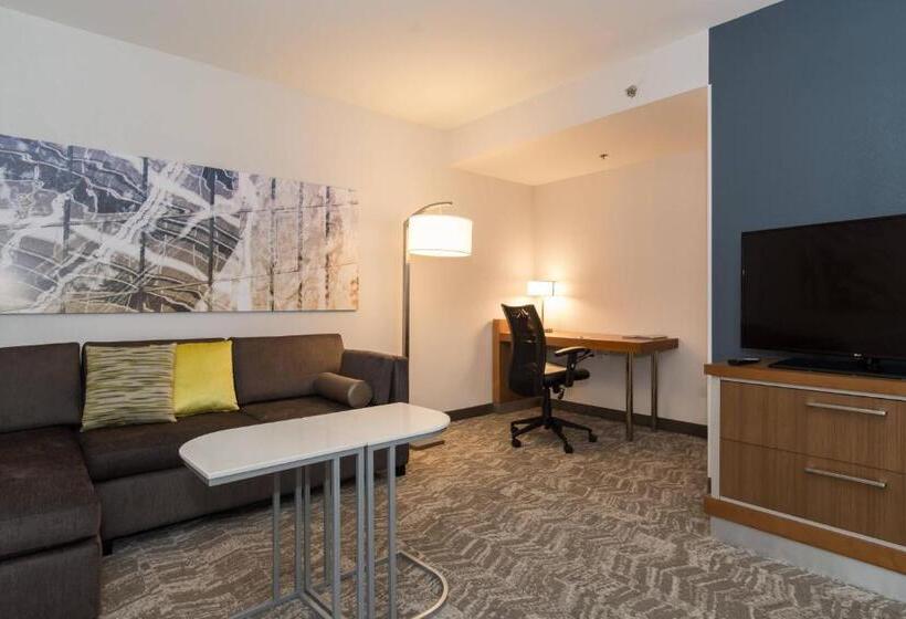 Springhill Suites By Marriott Charlotte Ballantyne
