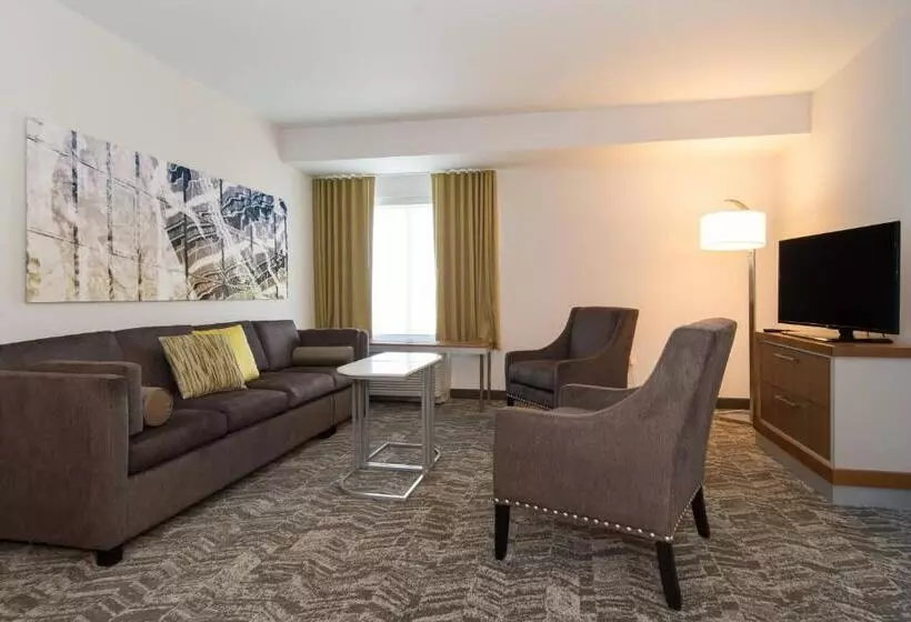 Springhill Suites By Marriott Charlotte Ballantyne